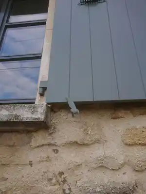 ABP_miniBOOK_2023 (36).JPG